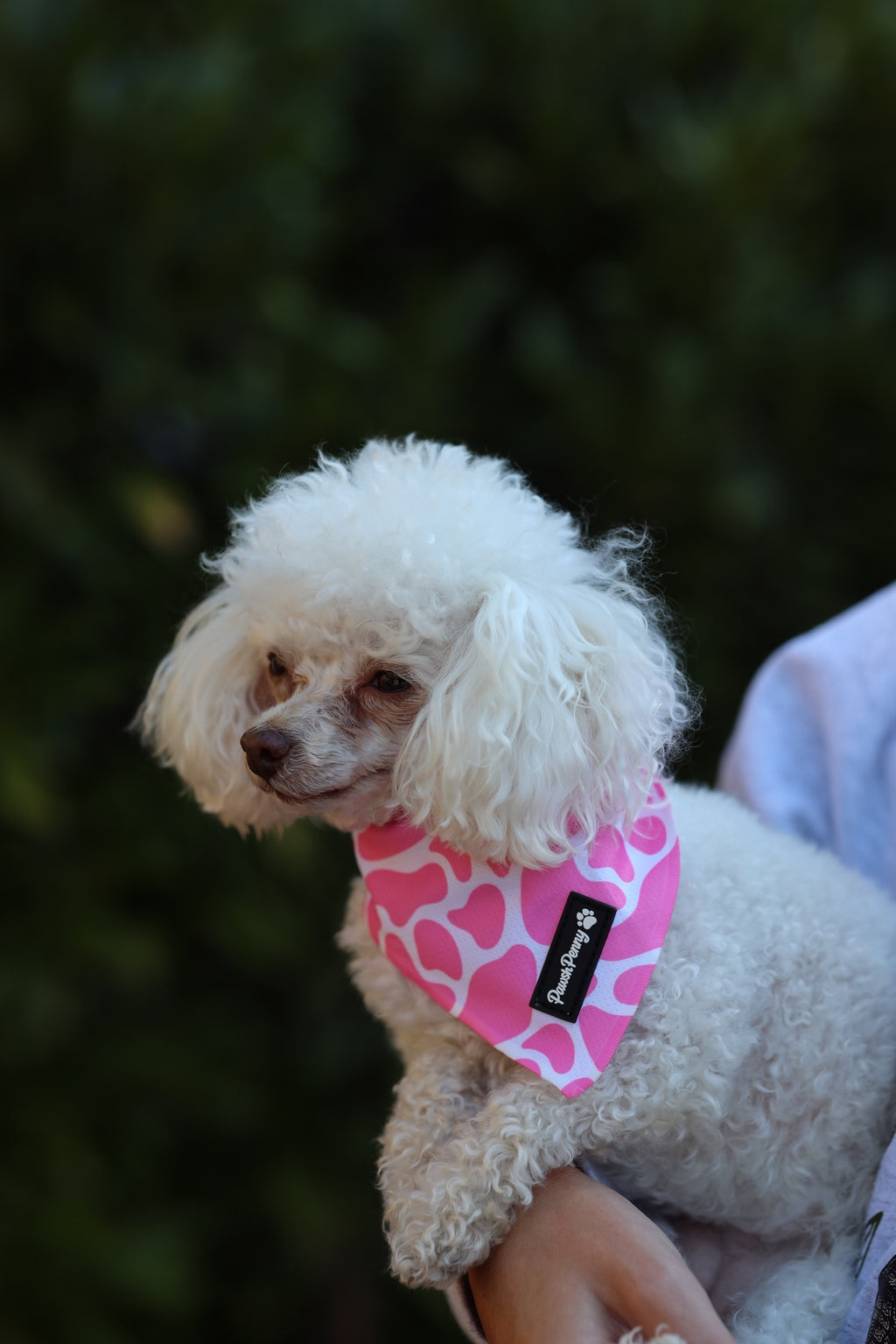 Pink MooMoo Walking Set