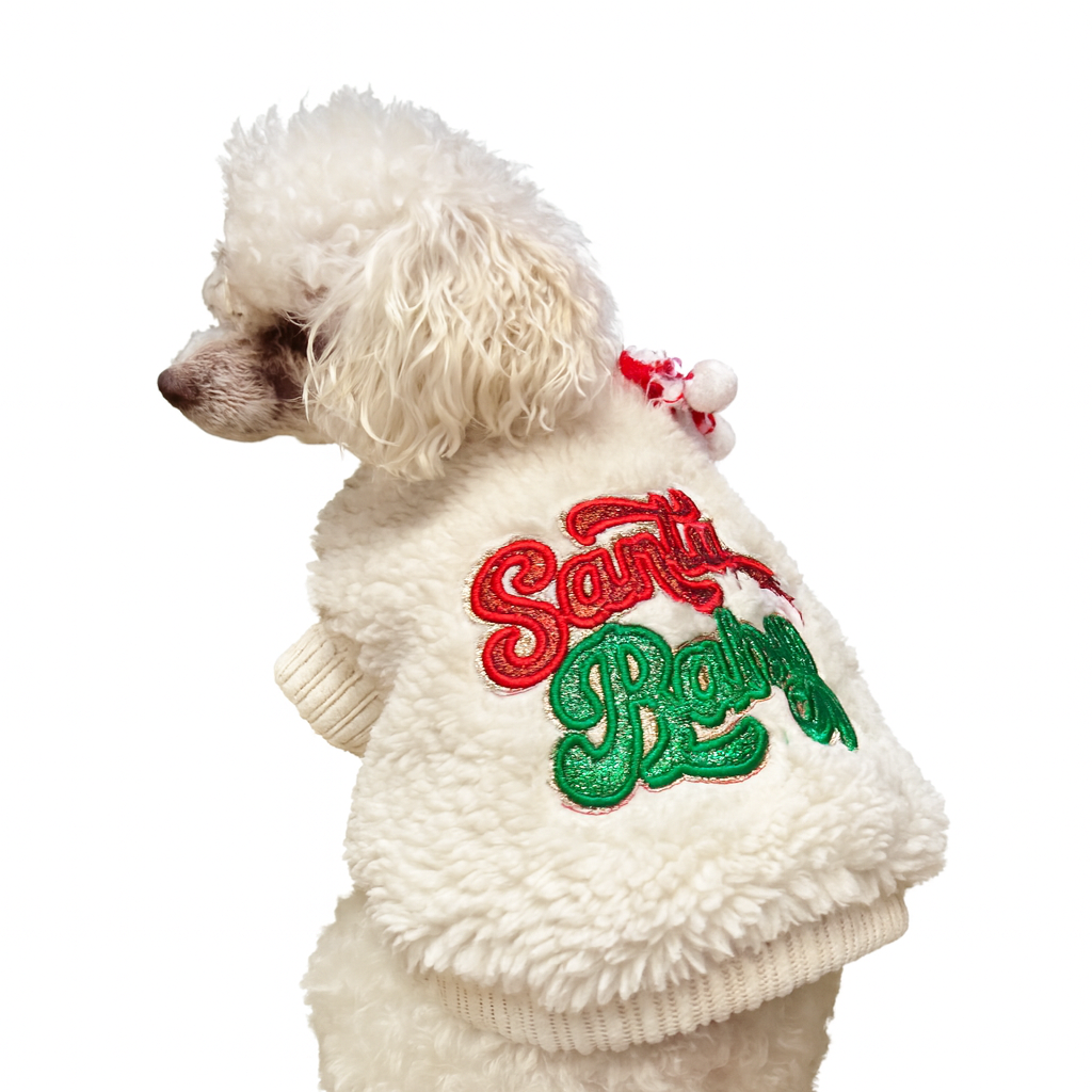 Santa Baby Fleece Sweater