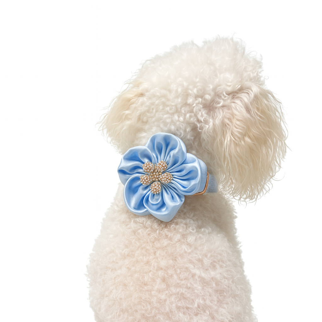 The Bloom Collar and Leash Set