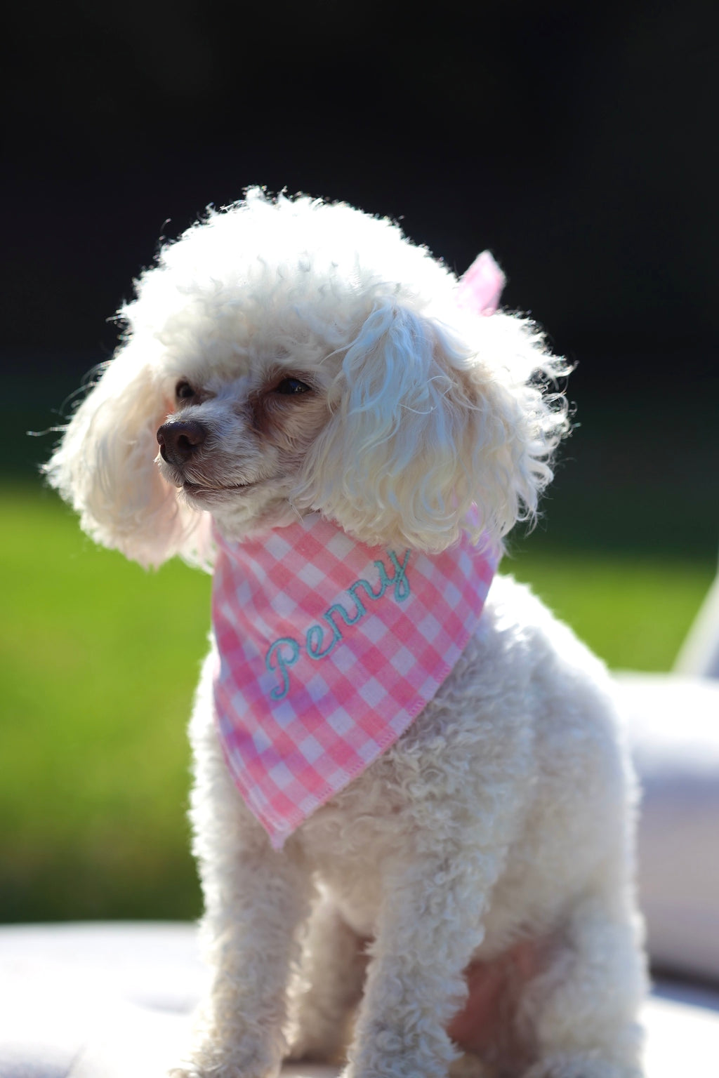 The Penny Plaid Bandana