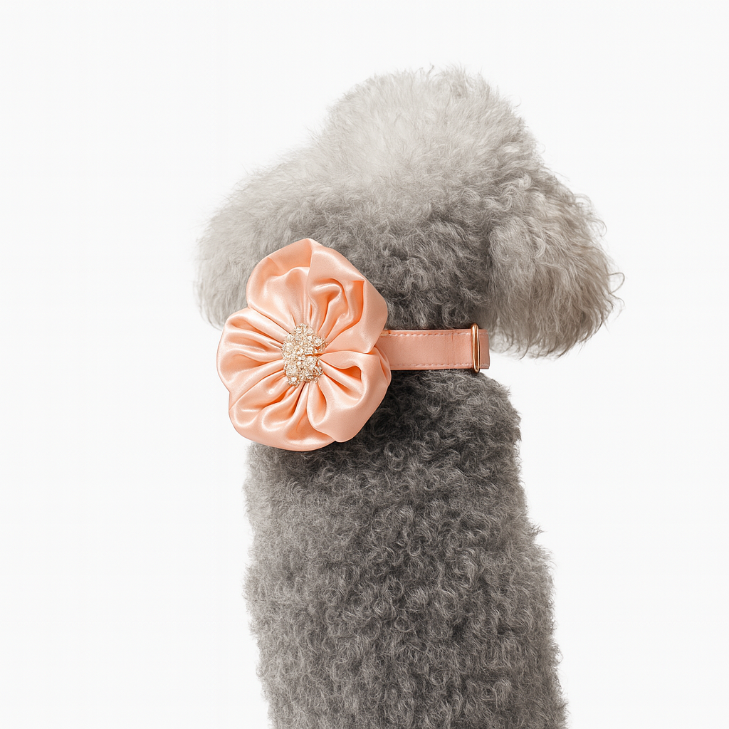 The Bloom Collar and Leash Set