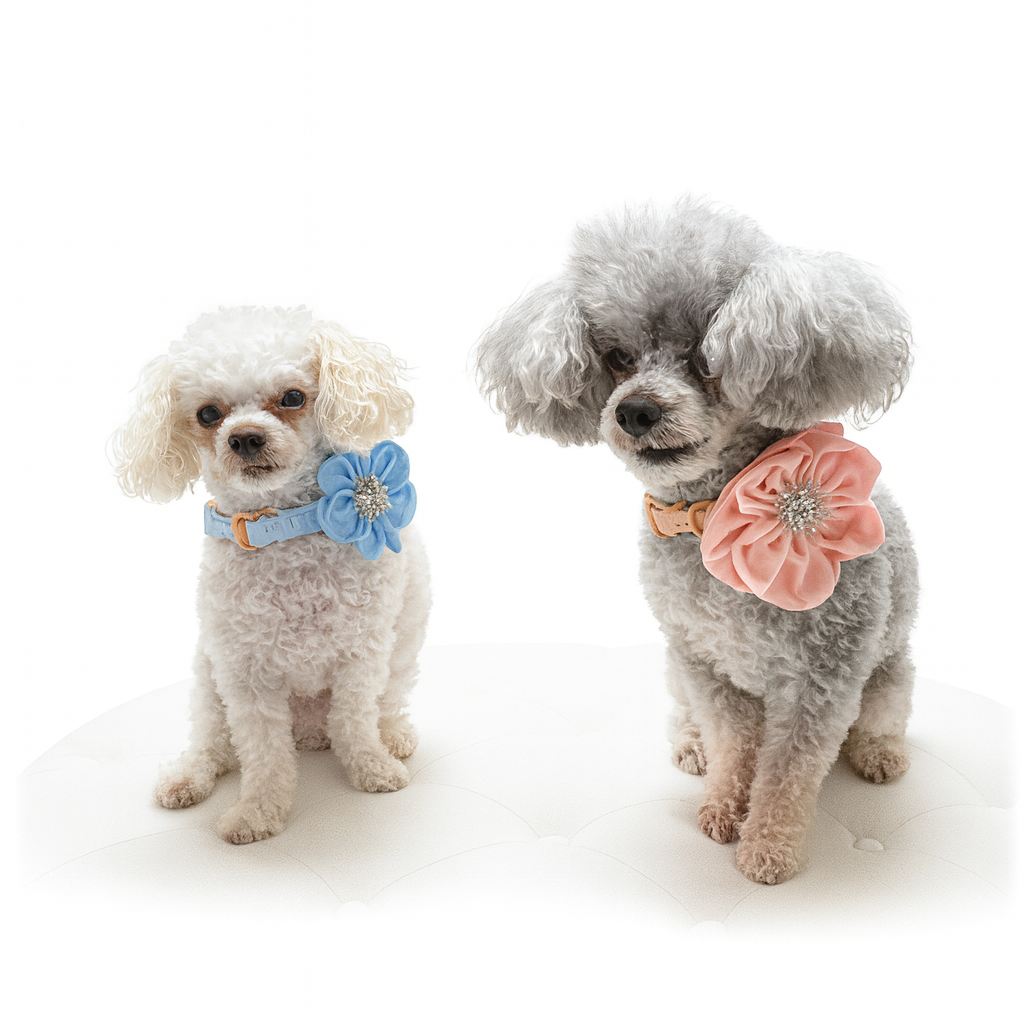 The Bloom Collar and Leash Set