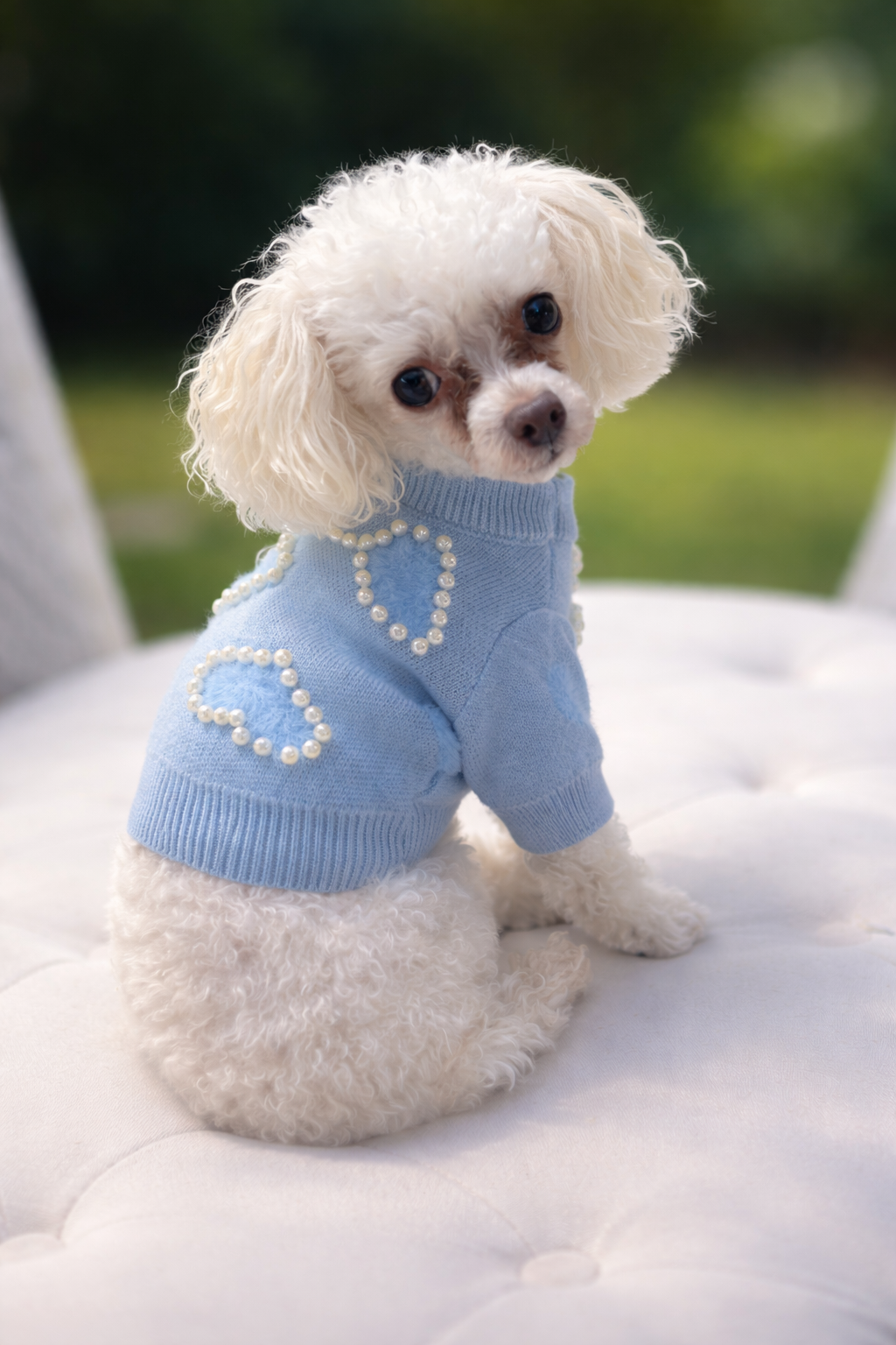 The Little Pearl Love Sweater