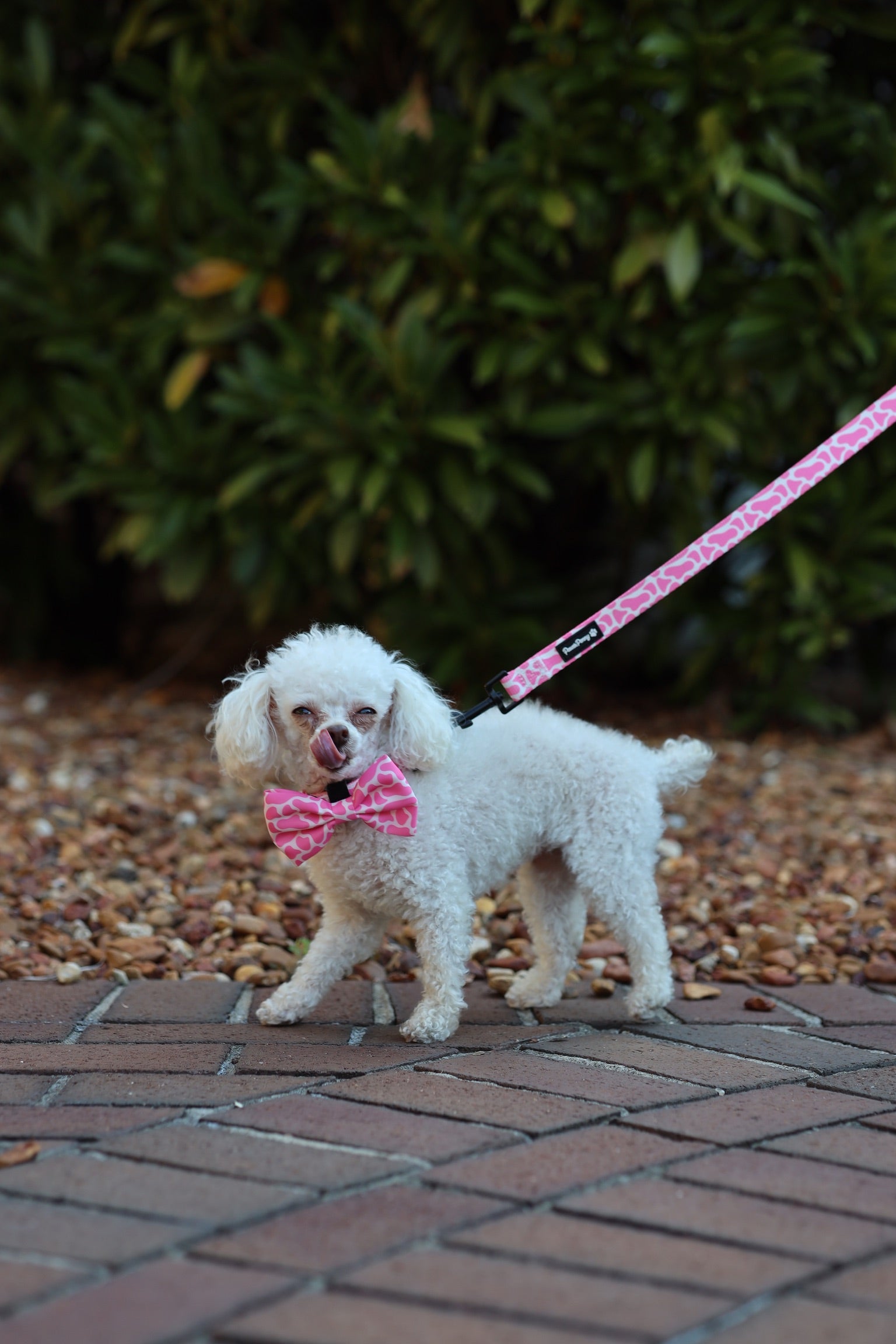 Pink MooMoo Leash