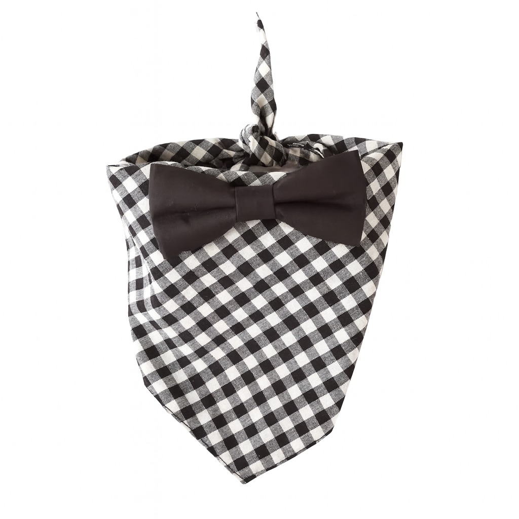 Classy As Can Be Bandana