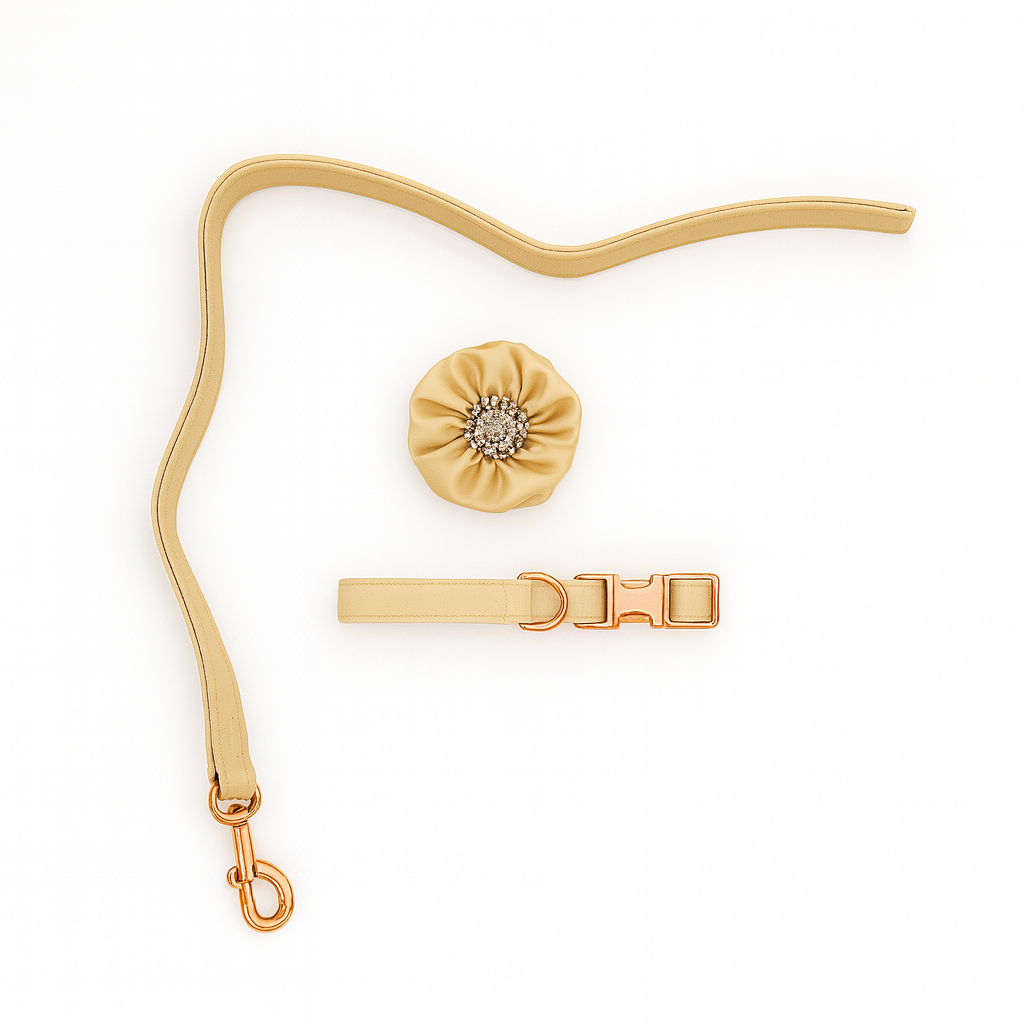 The Bloom Collar and Leash Set