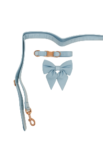 Winnie Bow Collar and Leash