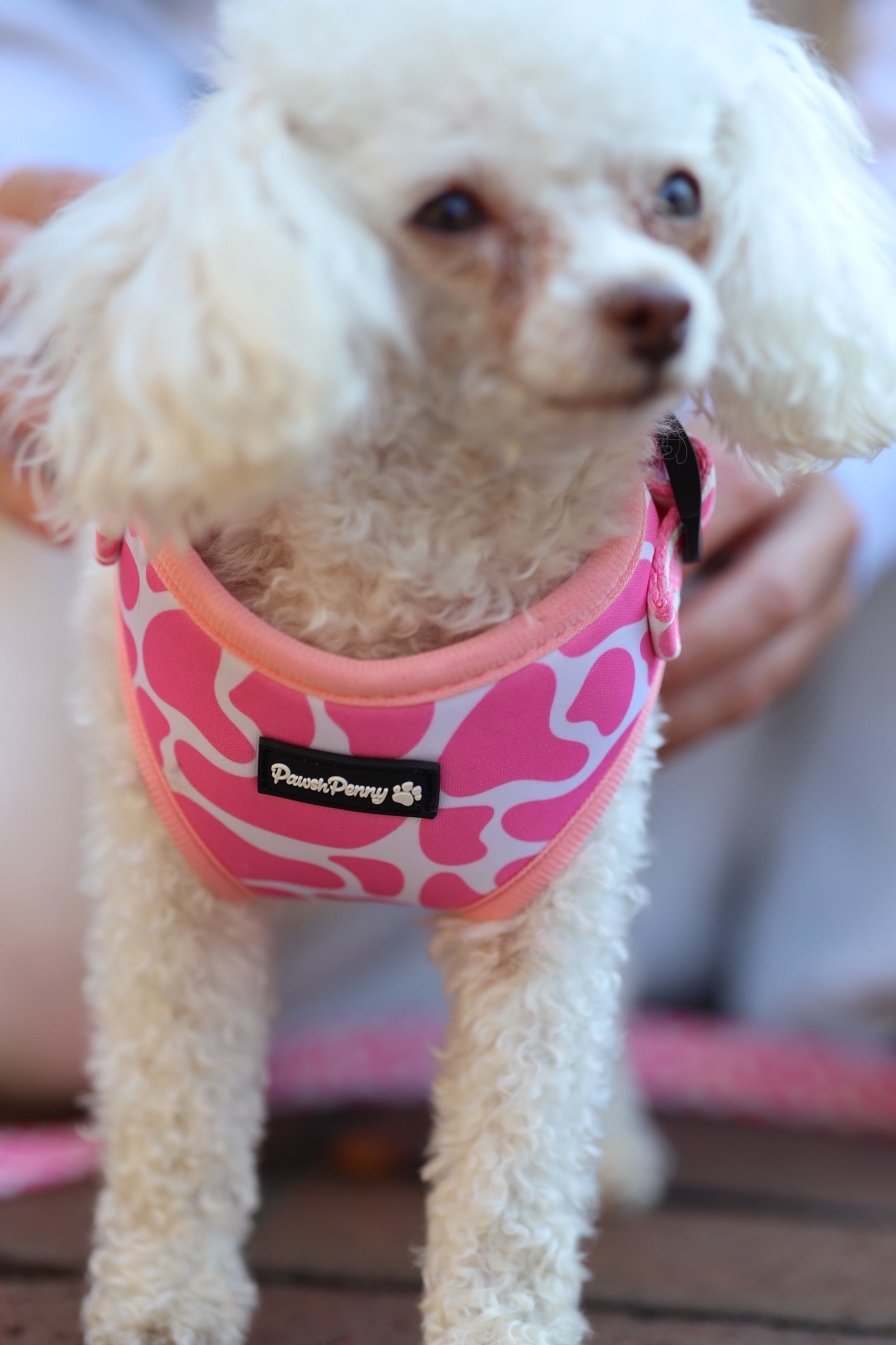 Pink MooMoo Harness