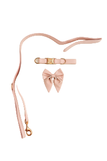 Winnie Bow Collar and Leash