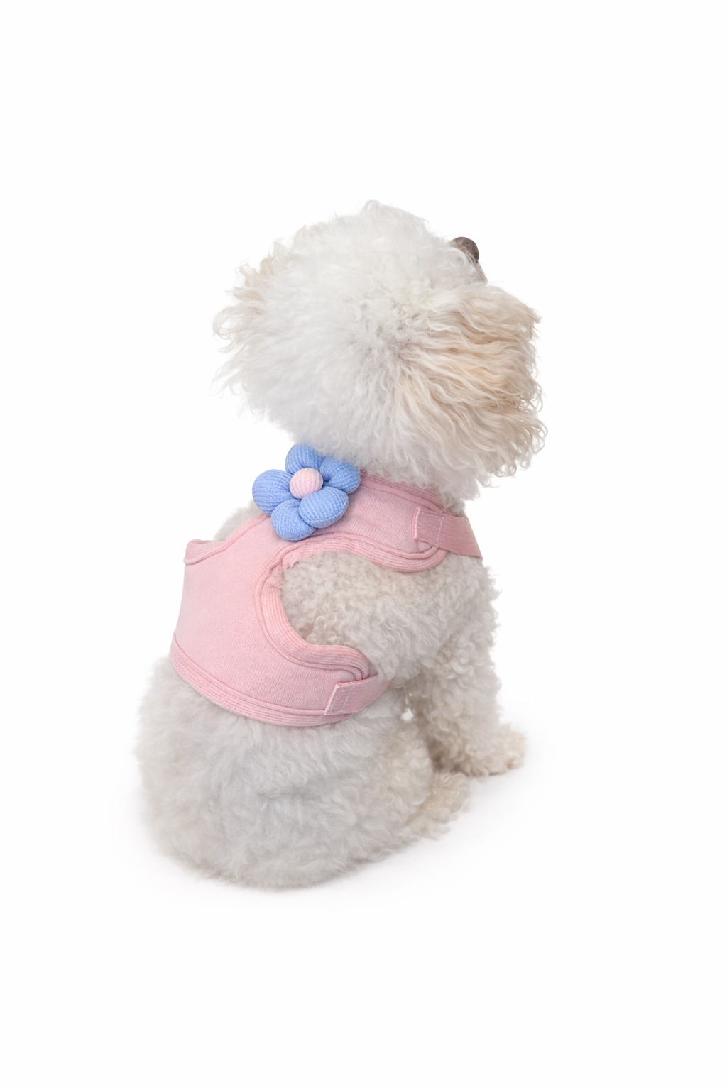 Lola Flower Harness Set