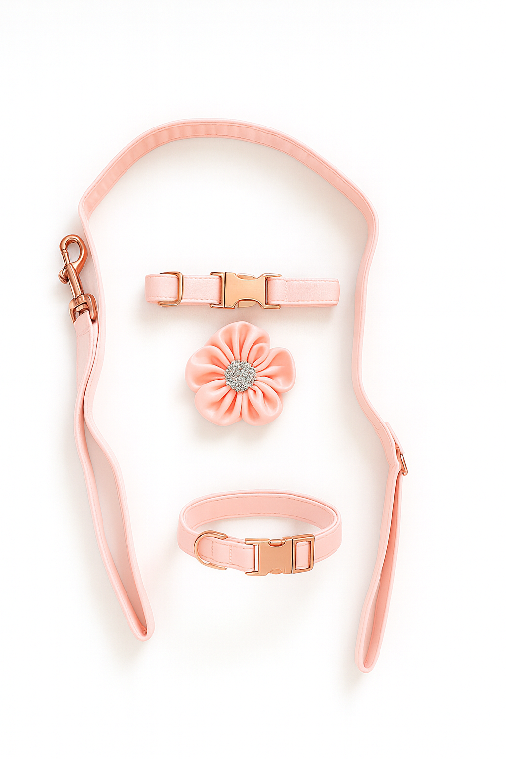 The Bloom Collar and Leash Set
