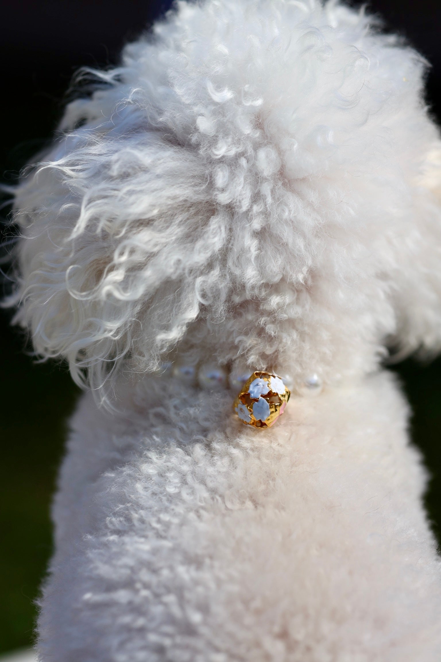The Penny Pearl Collar