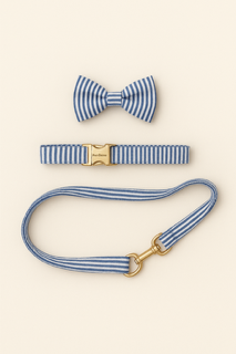 The Gentleman collection