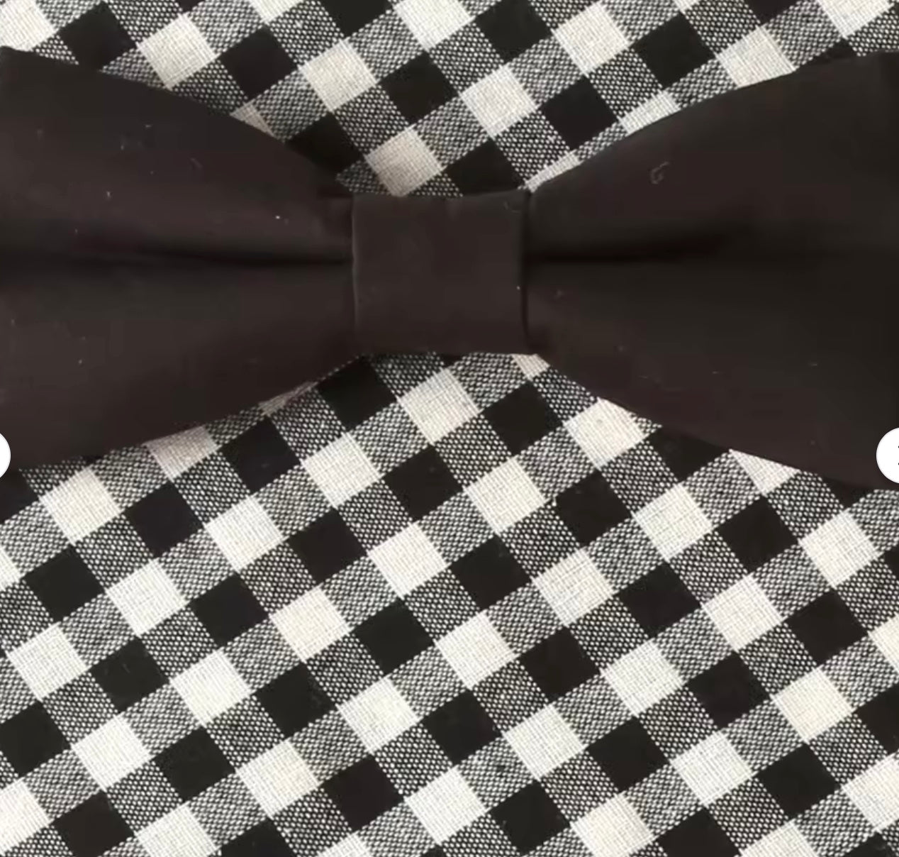 Classy As Can Be Bandana