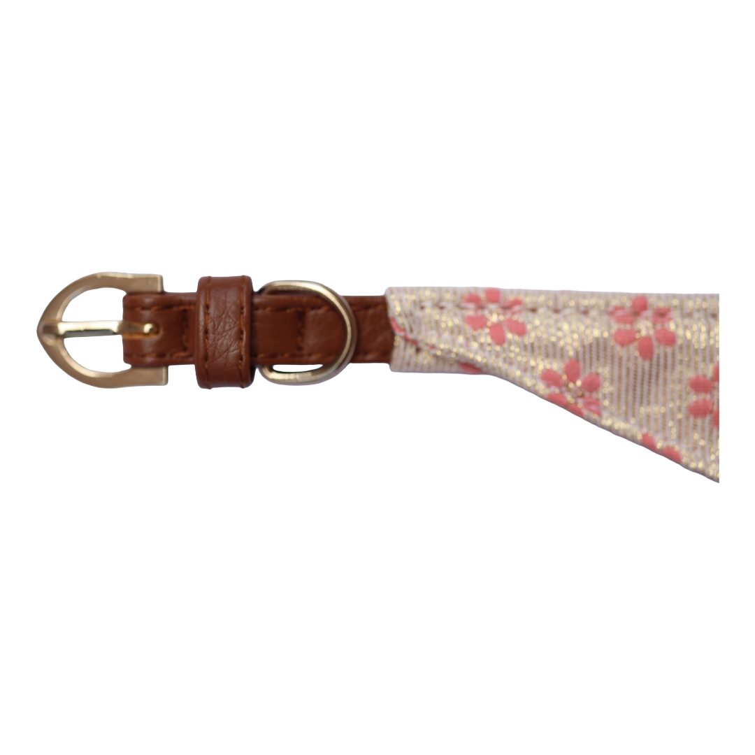 Darling Daisy Collar