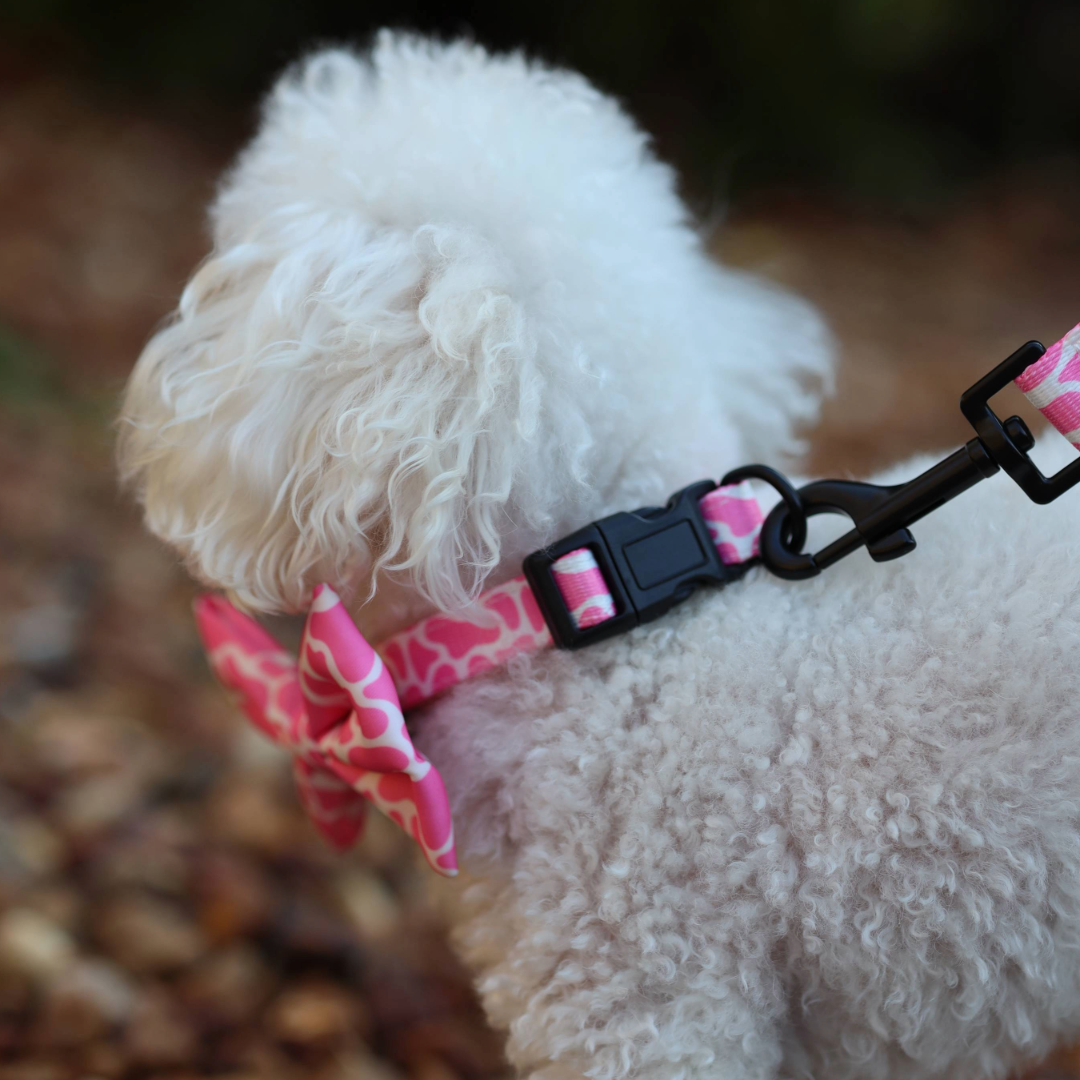 Pink MooMoo Bow-Tie Collar